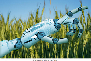 My journey in revolutionizing Agriculture with Artificial Intelligence(AI)