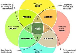IKIGAI and Software Engineering degree program