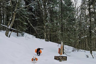 Two dogs wearing orange packs running on a snowy hiking trail near a West Ridge Trail sign on Mount Cardigan