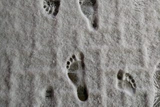 Barefoot Running in the Snow: Lessons From Storm Emma