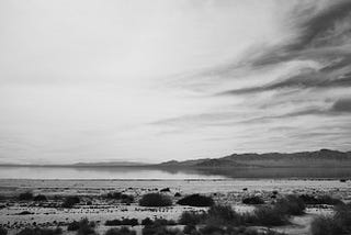 The Void of The Salton Sea