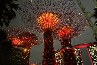 Chinese New Year…from a French perspective!