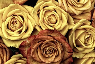 I saw a mirror within your heart
