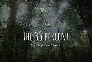 The Thirty-Five Percent: Fighting for What Remains