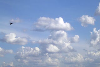 Um urubu no céu azul infestado de nuvens brancas e cinzas, ele está um pouco depois da metade da imagem do lado esquerdo da imagem batendo as asas, o clique pegou elas inclinadas para baixo.