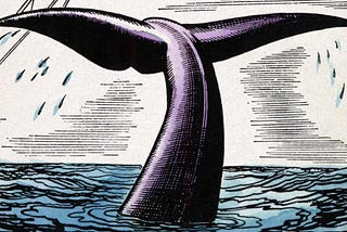 Analyzing Moby Dick