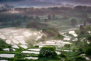 Dusk ’Til Dawn in the Rice Terraces of Niigata