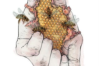 The Blessing of The Honeycomb