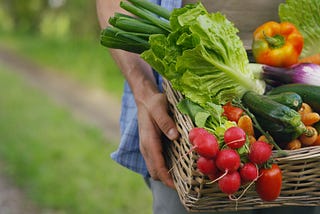 A person holding a basket of vegetables — growing your own food