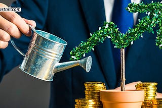 NRI Investment Opportunities In India