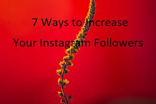 7 Ways to Increase Your Instagram Followers