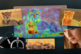 Scientific collage showing image compression analysis: a cheetah photo overlaid with colorful perceptual error heatmaps, attention-map outlines, magnified detail crops, and subtle measurement grid graphics.