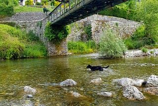 Down by the river.