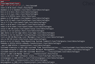 OS Command Injection