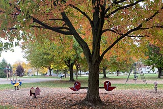 Red & Crimson: The Juxtaposition of My Favorite Fall Albums