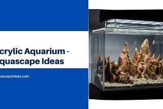 Acrylic Aquarium — Aquascape Ideas — Aquascape Ideas