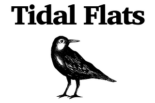 What is Tidal Flat Studio?