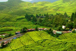 5 Lokasi Liburan Akhir Tahun di Puncak