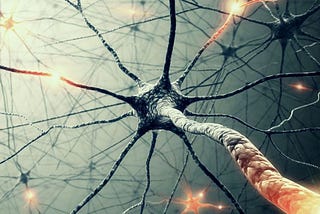 Mirror Neurons