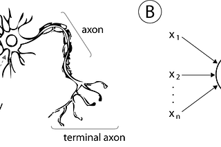 Neural Network