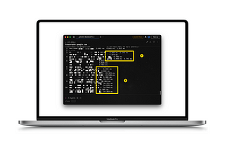 an image showing a macbook with terminal on it