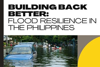 Building Back Better: Flood Resilience in the Philippines