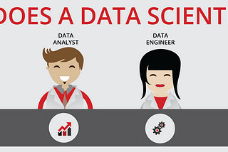 What does a Data Scientist do?
