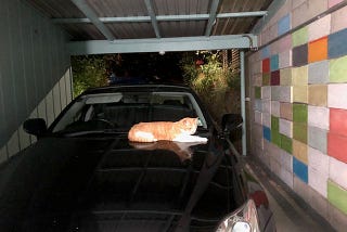 The Amazing Tommy Keene