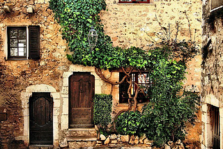 Vines, St. Paul de Vence, France photo via pixdaus