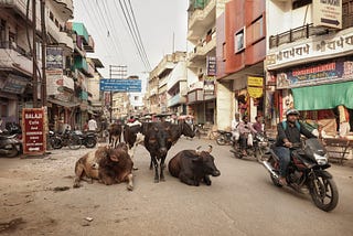 Adventures in Asia: Varanasi, India (part 1)