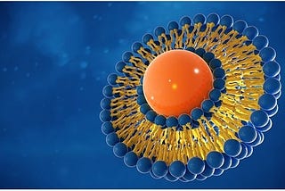 Liposomes for Botanical extracts & Nutraceuticals