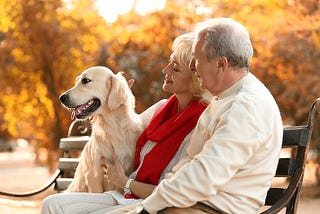 Looking Into the Most Popular Reasons Seniors Choose to Have a Pet