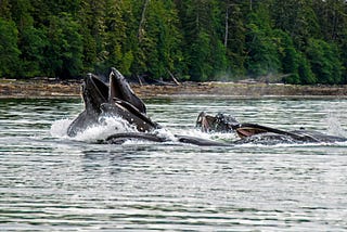 Fishing Alaska’s “First City”