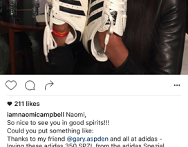 Naomi Campbell v. Her Followers