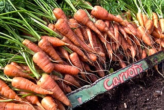 What Does “Healthy” Mean? Our 2020 Vision for Healthy Food