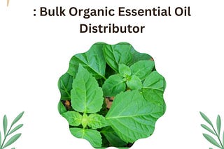 Improve Your Business: Bulk Organic Essential Oil Distributor