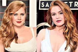 An AI Who Can Recognize Amy Adams And Isla Fisher.