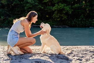How to Care for a Street Dog and Show It Love