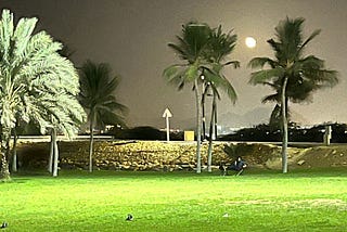 The Assorted Candies Of Solitude