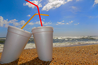 Plastic Straws: A Single Use that Lasts a Lifetime