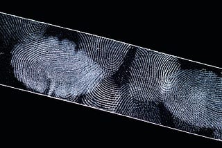 What’s In A Fingerprint?