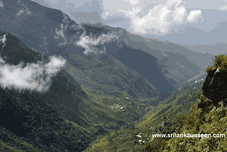 A Soulful Journey Through Horton Plains: Misty Mornings, Wildlife, and World’s End Wonders