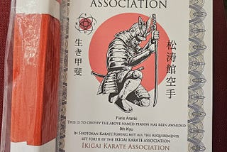 10 benefits of learning karate later in life (or any time)