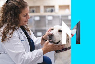 Stemming the veterinary professional shortage to strengthen our industry