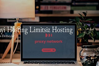 Bayi Hosting Avantajları ve Dezavantajları: Limitsiz Bayi Hosting Nedir?