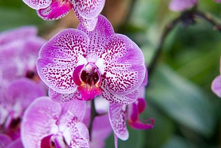 Poem: Foreplay