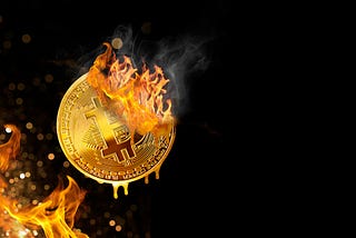 “Bitcoin is Going to Zero Within a Decade.”