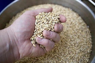 From Field to Glass: Unraveling the Intricacies of Malted Barley in Brewing Excellence