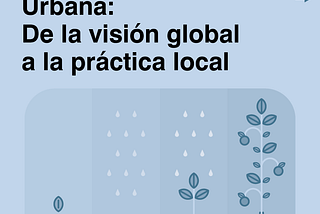 Resiliencia Urbana: De la visión global a la práctica local
