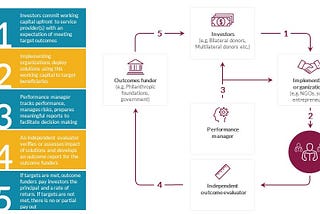 Social Impact Bonds(SIB)